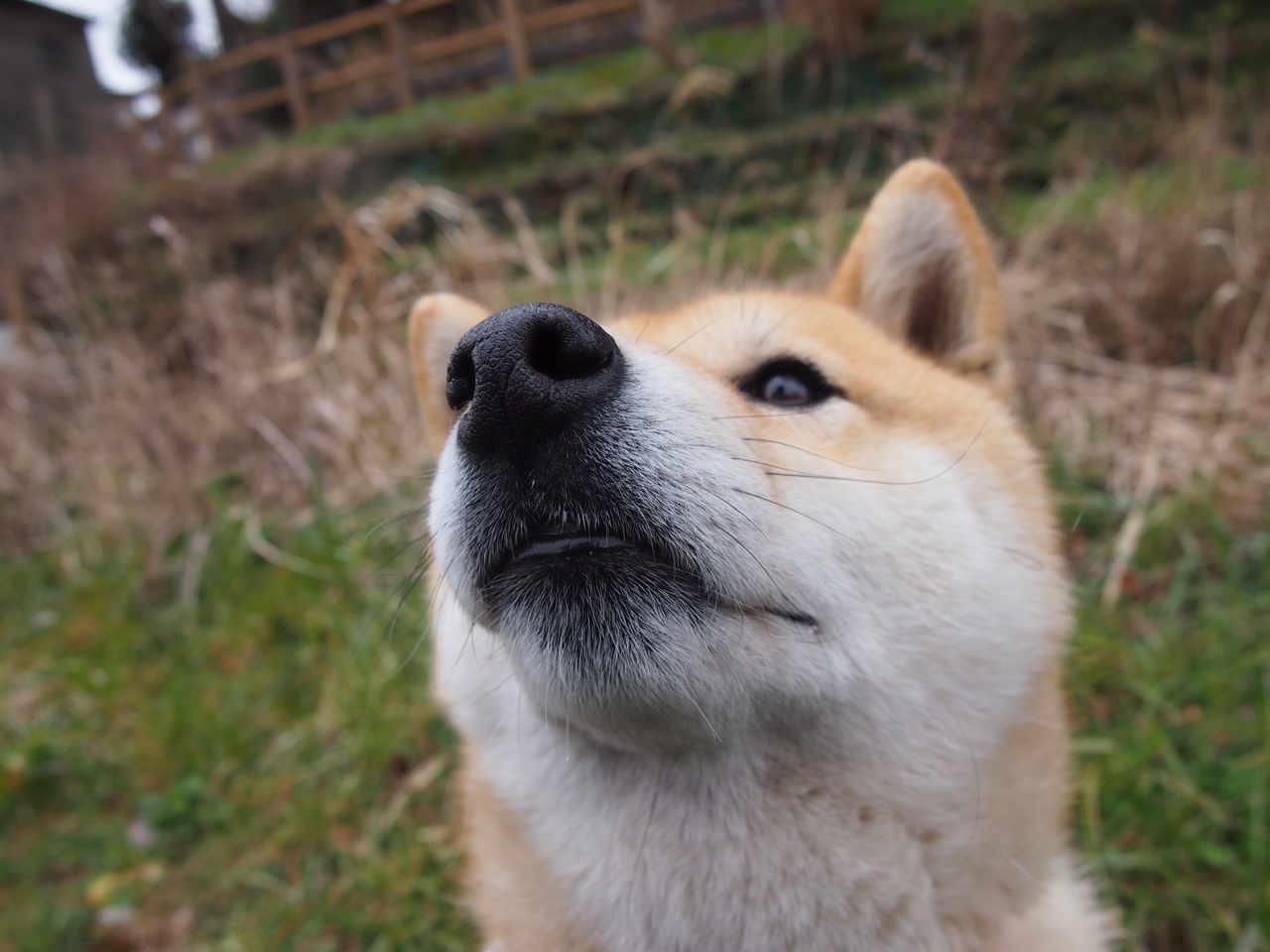 kaiyun.com-NBA常规赛激战正酣，季后赛席位竞争白热化，nba赛程规则季后赛