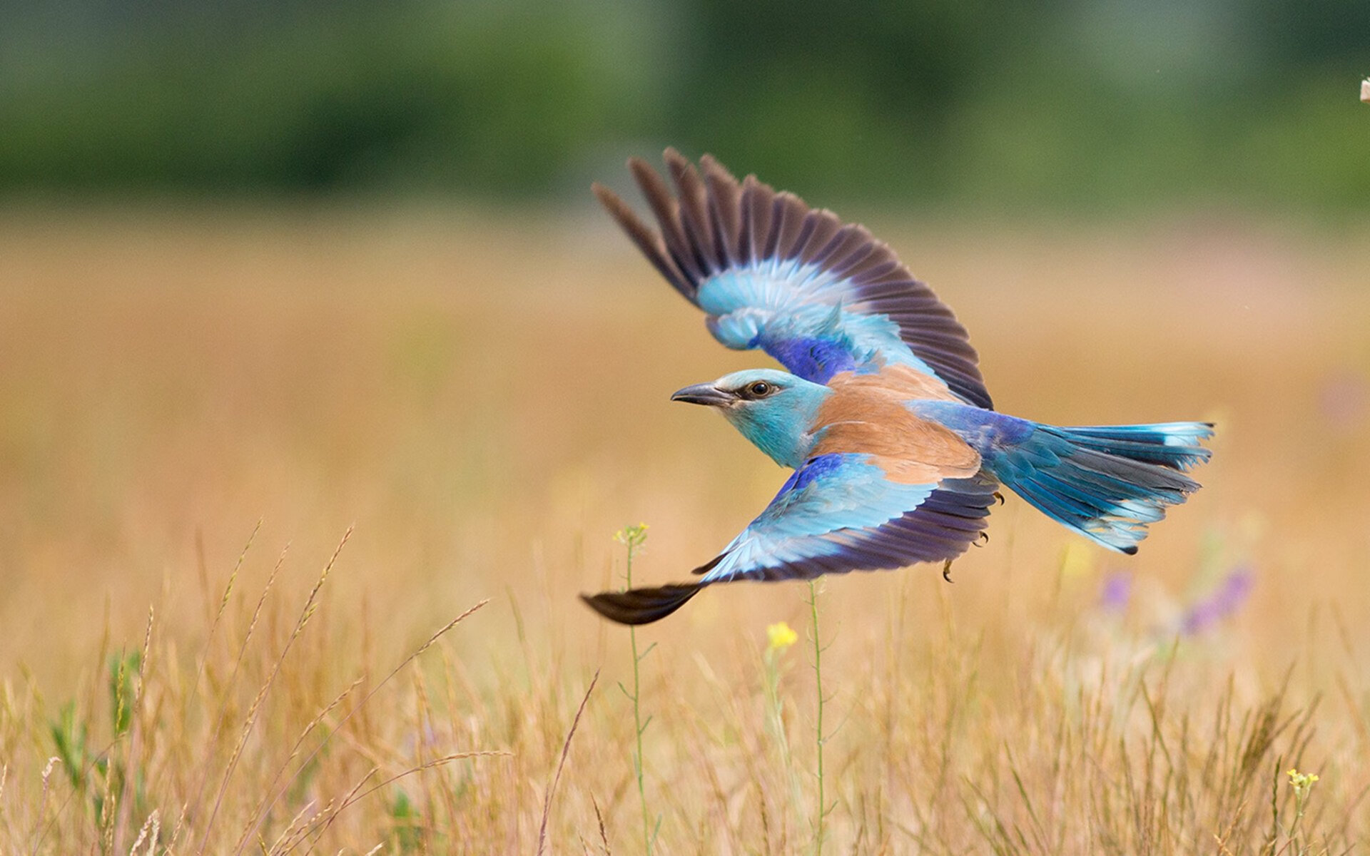 开云网站-_绿色赛事：倡导环保理念，绿色场地亮相_，绿色环保色彩场景