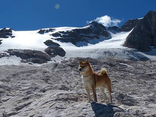 _绿色赛事:倡导环保理念,绿色场地亮相_,绿色环保色彩场景