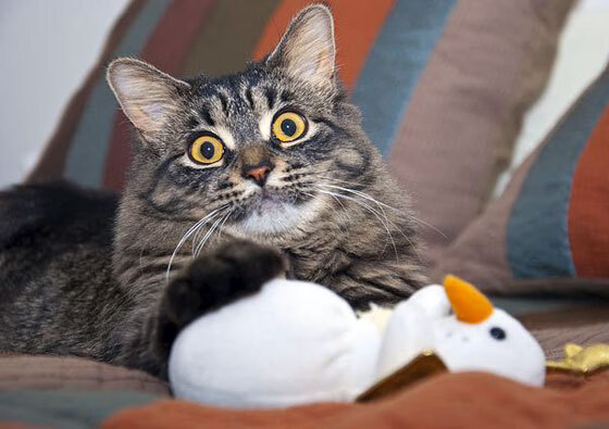 开云平台-【青训故事】从丁俊晖到新一代青训营的成长轨迹，丁俊晖训练