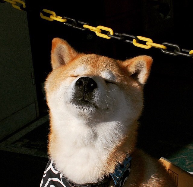 KAIYUN 中国大陆-兼收并蓄：联盟中多元文化的精彩展现，兼收并蓄读音是什么意思