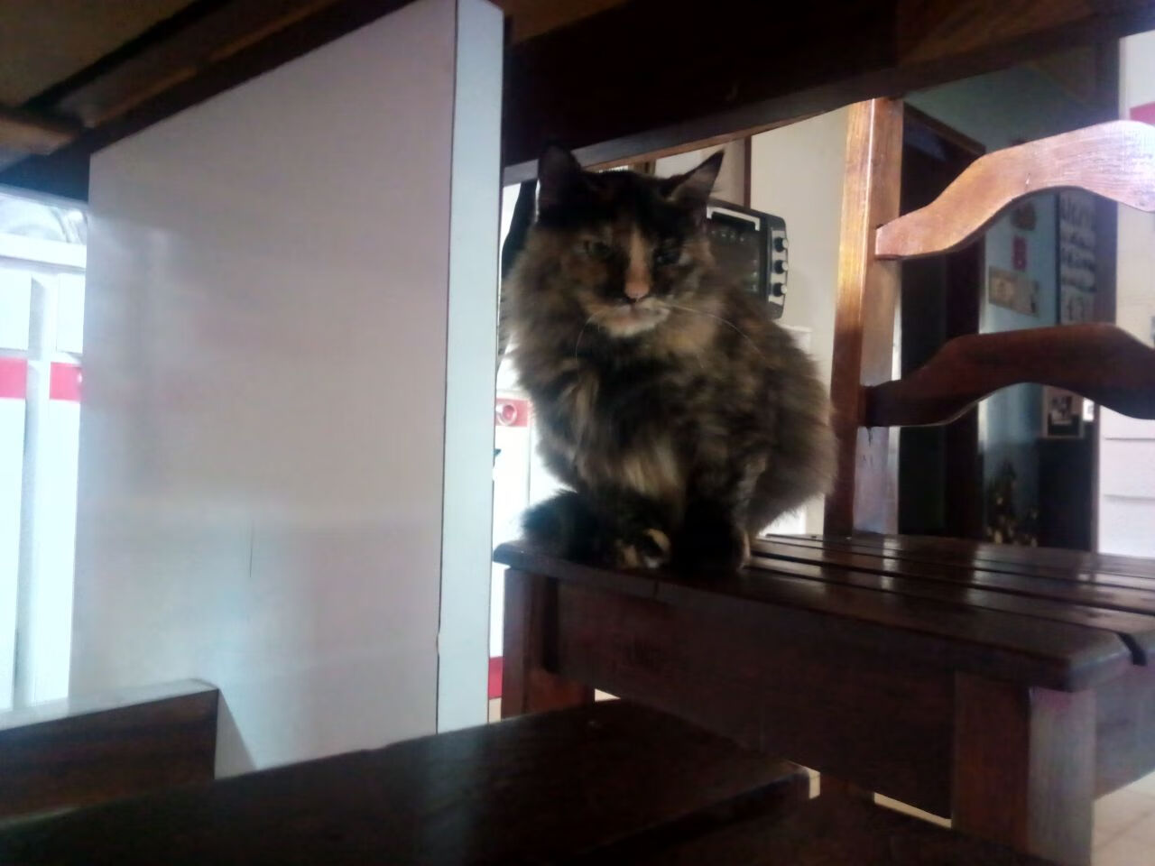 王者礼赞:历年MVP得主的辉煌瞬间,王者荣耀历届mvp