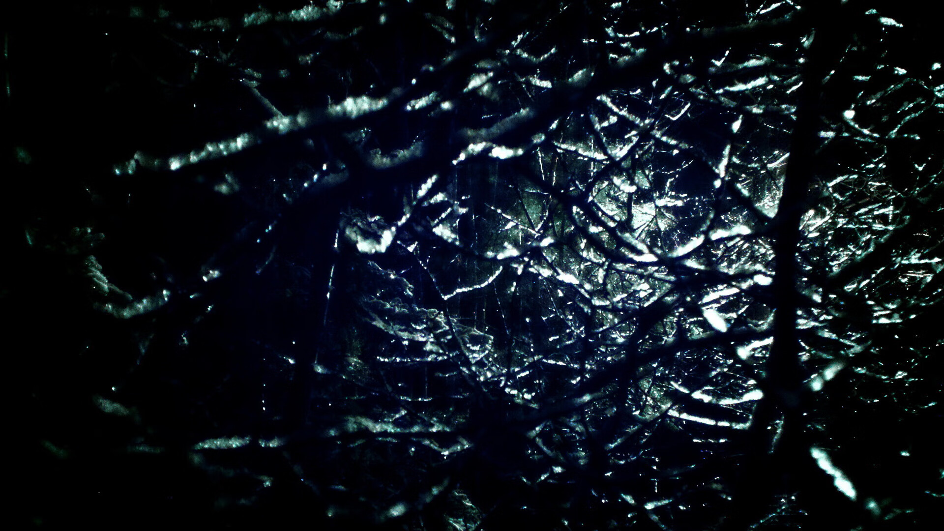 开云kaiyun-T1官方确认加入“选手康复科研联盟”