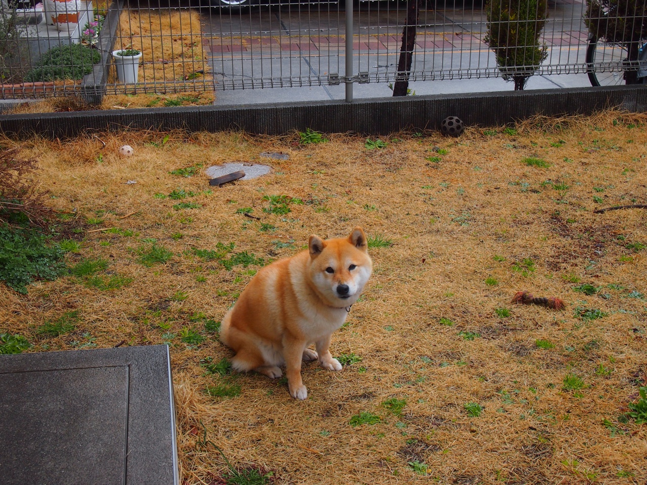 开云kaiyun-伯恩利防守球员泰科夫奋力封堵射门，难挡对手攻势，伯恩利科尔内