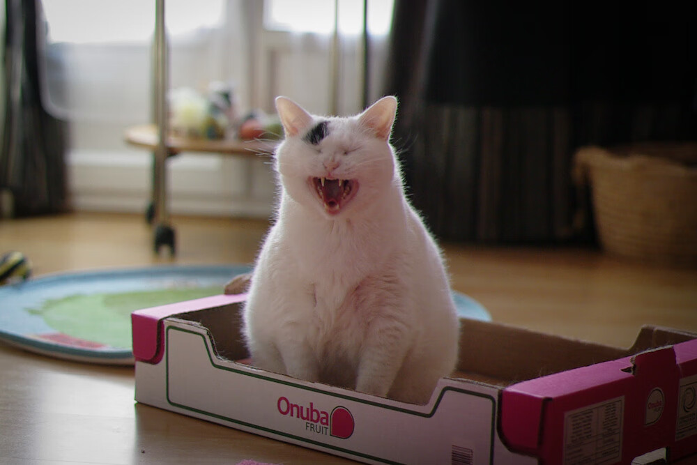 kaiyun体育app-球员突发伤病，球队备战现状岌岌可危，球员伤病有工资吗