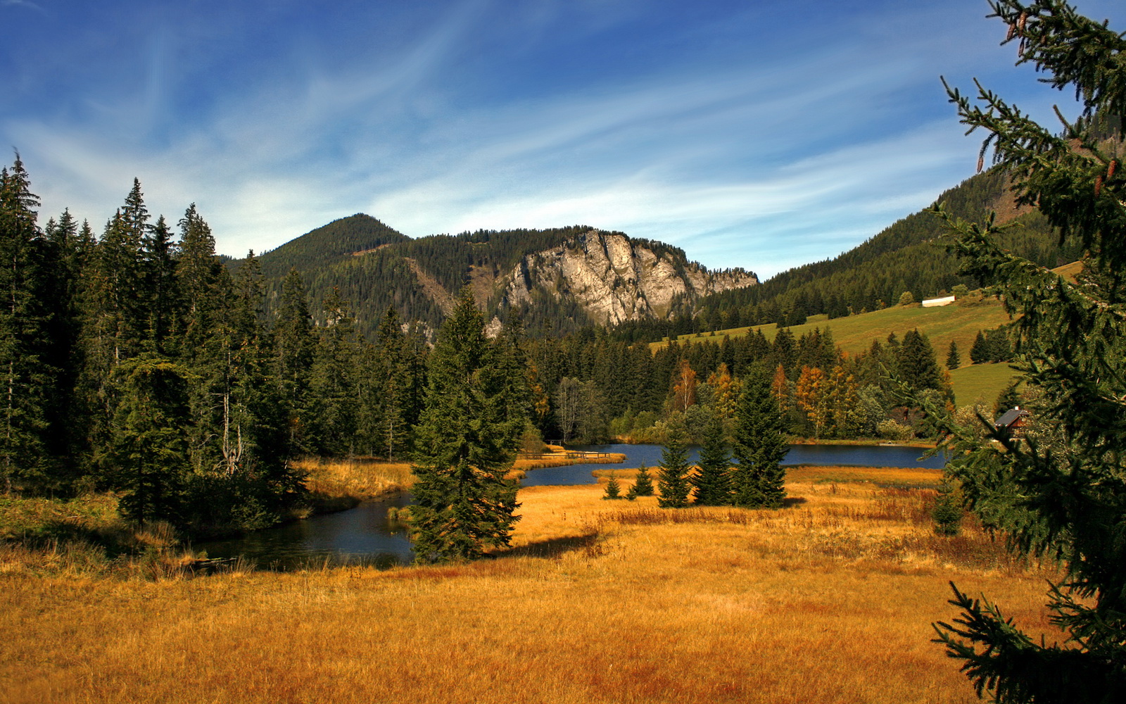 阿尔及利亚队力克南非队,首轮比赛获胜,阿尔及利亚男篮