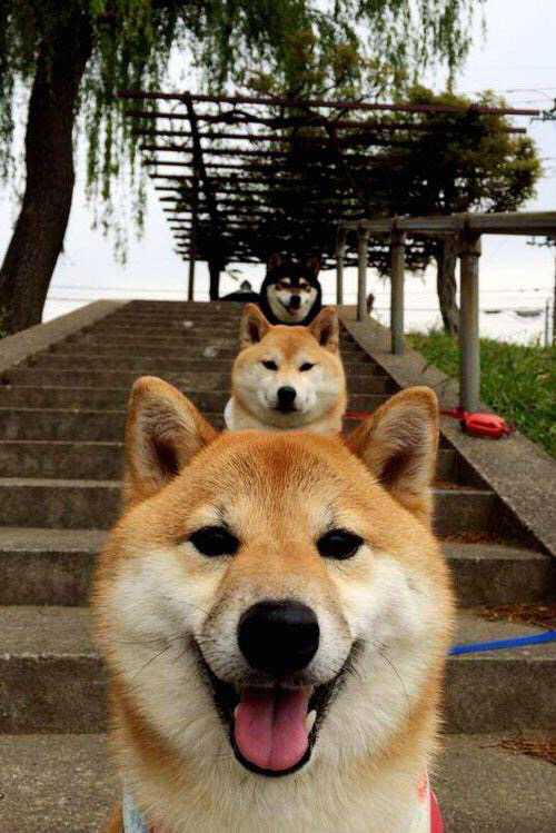 雷霆翻盘热火,抢七大战中亚历山大锁死对手,雷霆的亚历山大有潜力吗