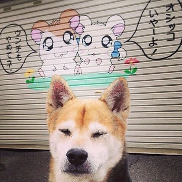 开云·体育官网APP下载-首尔SK骑士攻防转换效率提升，首尔sk骑士直播