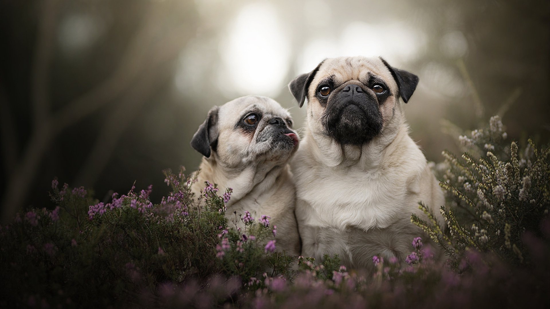 中国篮球青少年篮球运动普及策略及校园篮球发展探索,全国青少年篮球特色