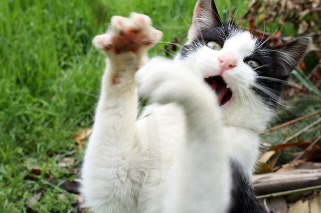 开云中国-体育赛事运营效率提升，提高体育赛事效益