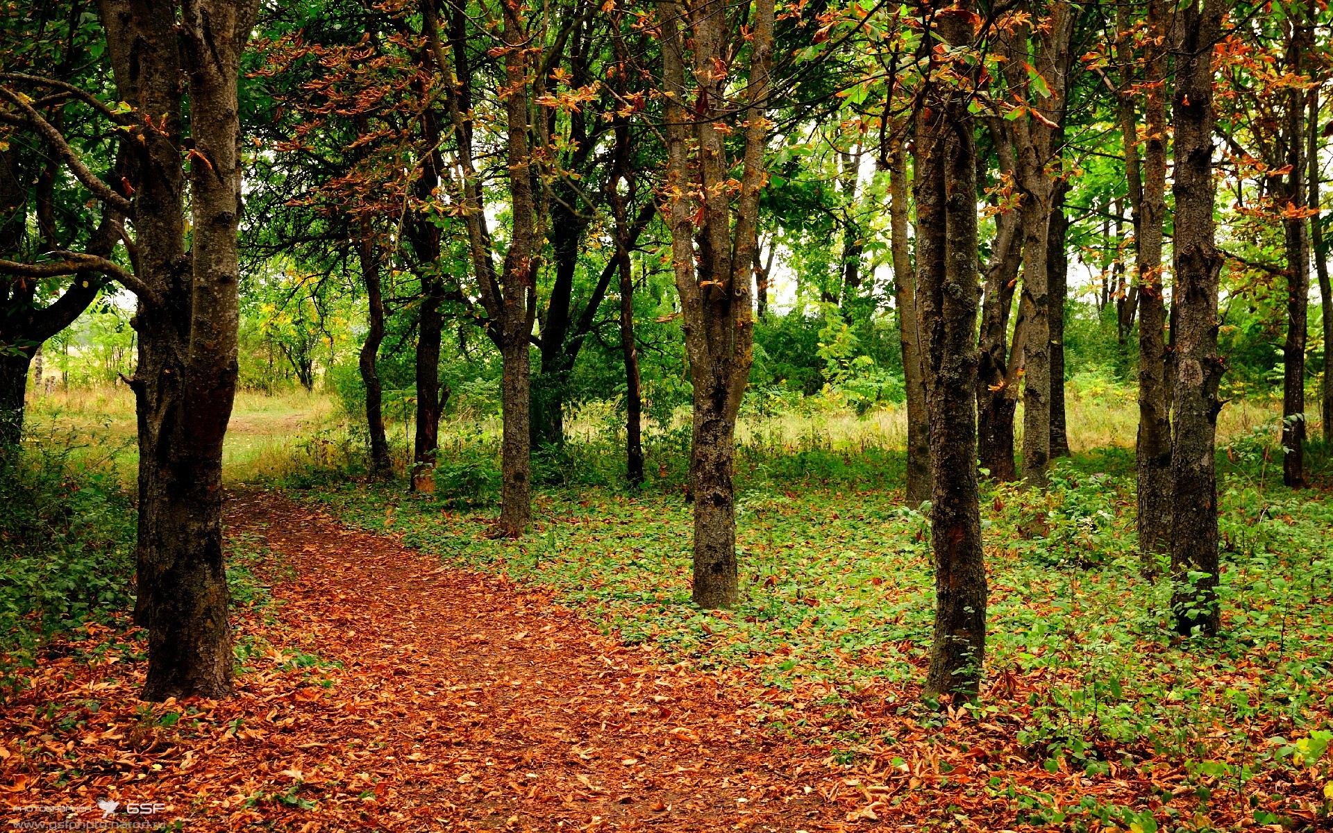 篮球运动员比赛数据采集及战术分析技术，篮球球员数据统计表格