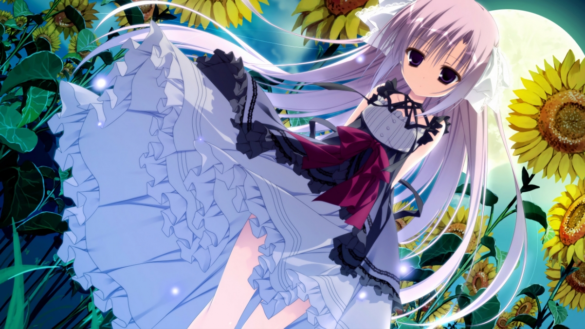 开云·体育官网APP下载-200蝶比赛节奏分布详解，200蝶泳决赛回放