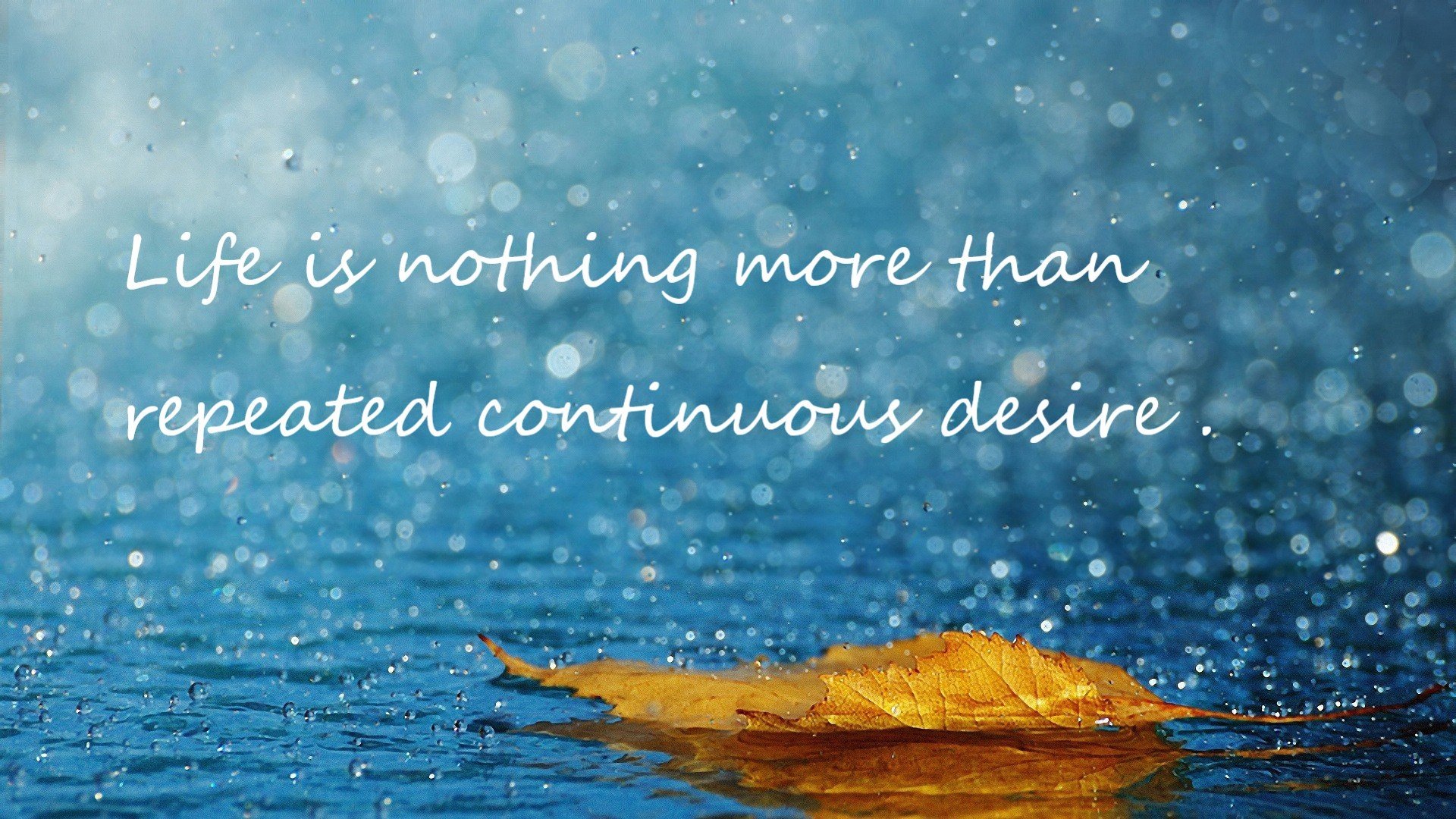 北京鸭通过内部模拟赛检验阵容深度,北京鸭子