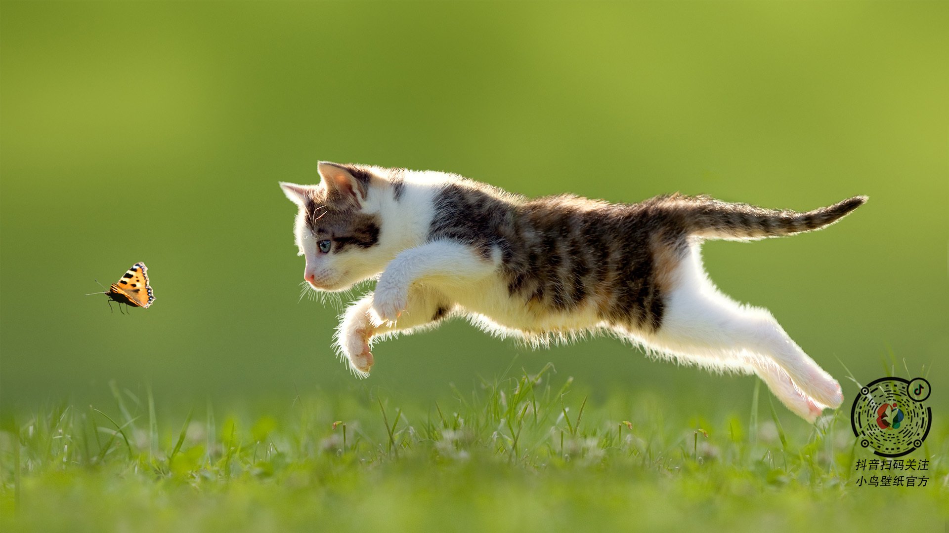 kaiyun中国官方网站-自由泳终段配速显著提升，自由泳进阶