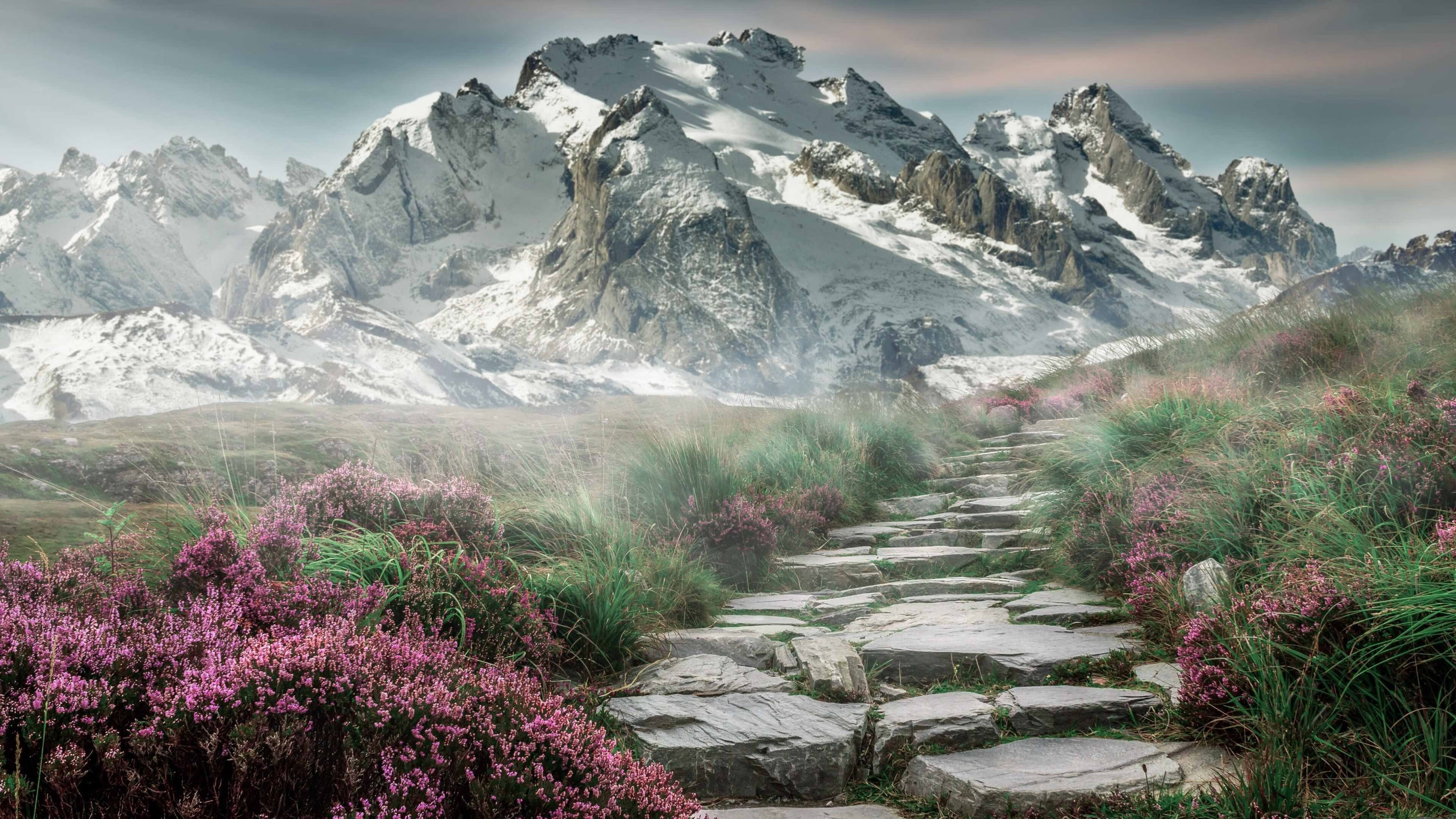 开云网页版登录入口-女子篮球联赛赛程安排，女子篮球联赛赛程安排时间