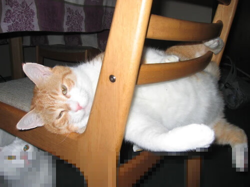 开云·体育官网-青少年篮球联赛推广防伤保护课程保障参赛安全，青少年篮球活动策划方案